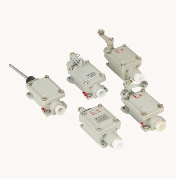 Explosion-proof Route Switch (BLX51)